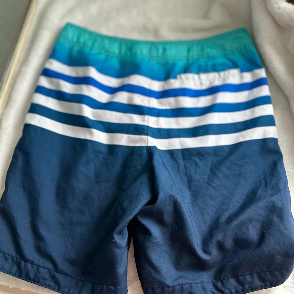 Hollister Teal and Navy Striped Board Shorts